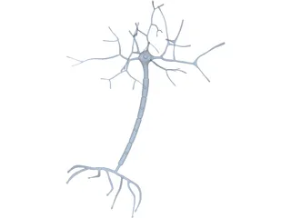 Neuron 3D Model preview