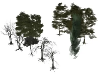 Tree Collection 3D Model preview