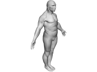 Male Human Figure 3D Model preview