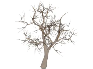 Tree 3D Model preview