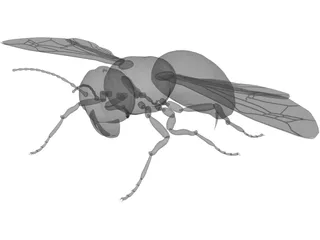 Hornet 3D Model preview