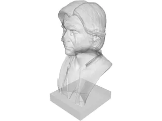 Han Solo Bust 3D Model preview