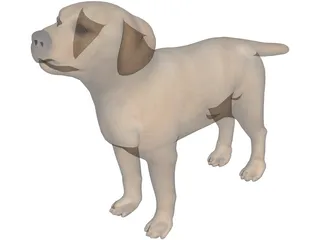 Dog 3D Model preview