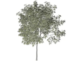 Arbol Tree 3D Model preview