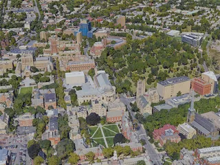 New Haven City, CT, USA (2019) 3D Model preview