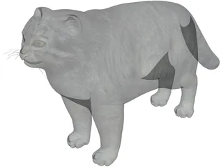 Pallas Cat 3D Model preview