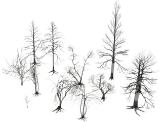Dead Trees 3D Model preview