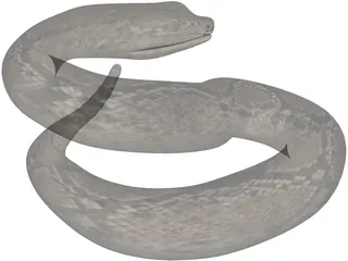 Rattlesnake 3D Model preview