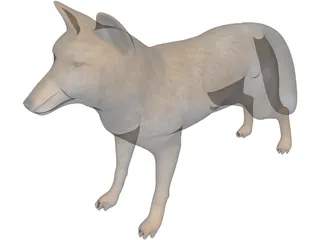 Tibetan Hill Fox 3D Model preview