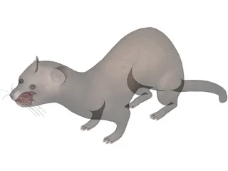 Ferret 3D Model preview