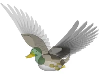 Duck Flying 3D Model preview