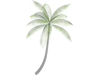 Palm 3D Model preview