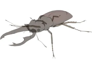 Beetle 3D Model preview