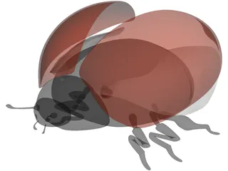 Bug Female 3D Model preview