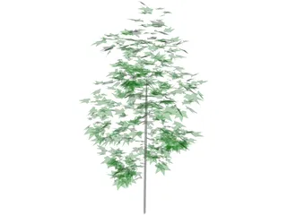 Tree 3D Model preview
