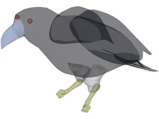 Raven 3D Model preview