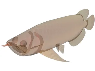 Asia Arowana 3D Model preview