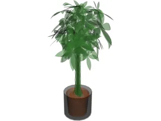Spatiphylum 3D Model preview