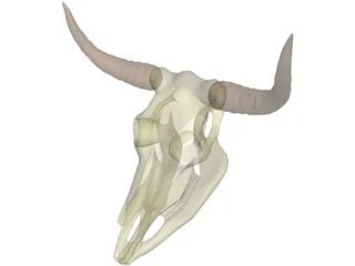 Cow Scull 3D Model preview