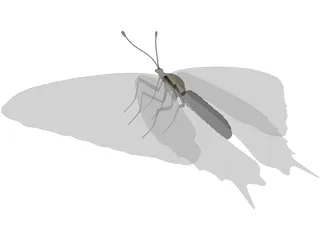 Sallow Tail Butterfly 3D Model preview