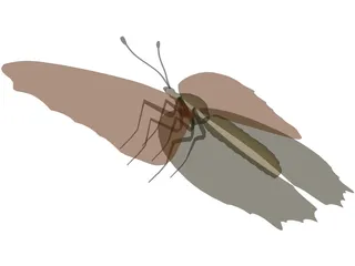 Poke Eye Butterfly 3D Model preview
