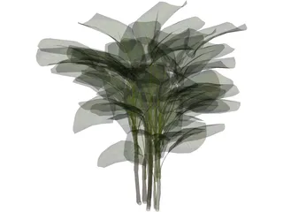 Bamboo Palm 3D Model preview