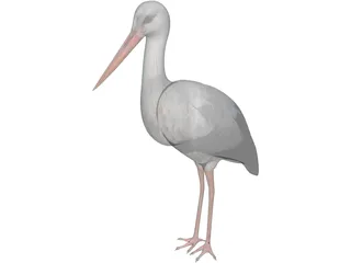 White Stork 3D Model preview