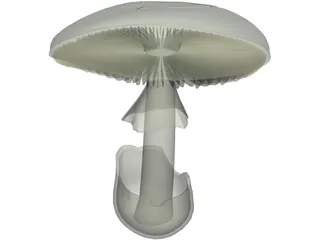 Amanita Phalloides: Death Cap Mushroom 3D Model preview