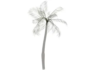Palm Tree 3D Model preview