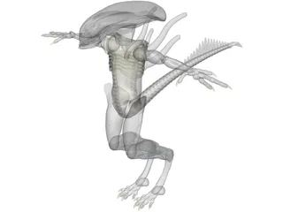 Alien 3D Model preview