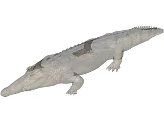 Crocodile 3D Model preview