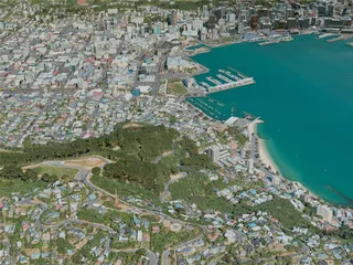 Wellington City, New Zealand (2020) 3D Model preview