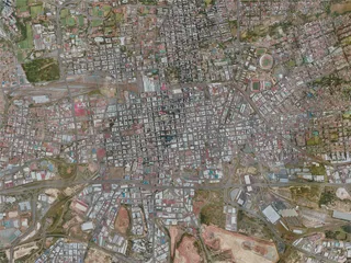Johannesburg City, South Africa (2020) 3D Model preview