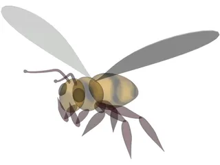 Bee 3D Model preview