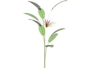 Flower 3D Model preview