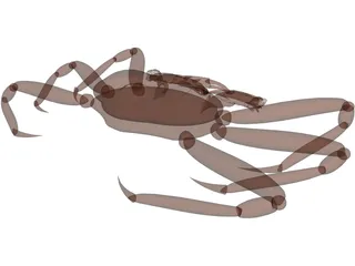 King Crab 3D Model preview