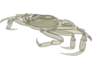Chinese Mitten Crab 3D Model preview