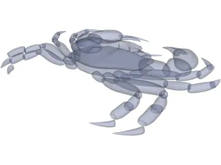 Harris Mud Crab 3D Model preview