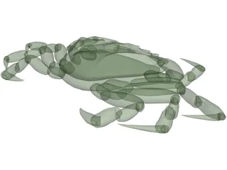 European Green Crab 3D Model preview
