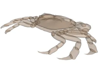 Asian Shore Crab 3D Model preview