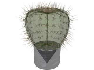 Cactus 3D Model preview