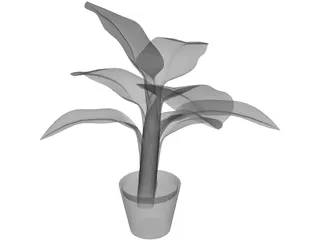 Banana Plant 3D Model preview