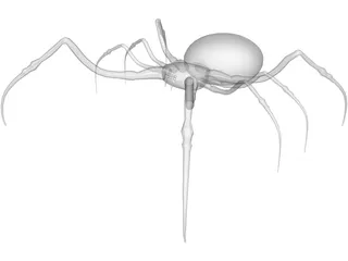 Spider 3D Model preview