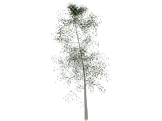 Tree 3D Model preview