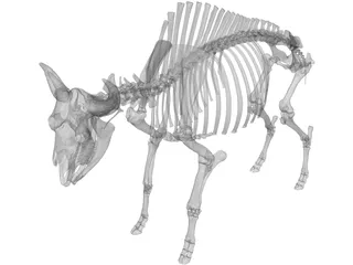 Bull Skeleton 3D Model preview