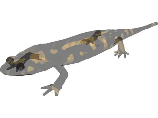 Salamandra 3D Model preview