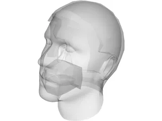 Man Head 3D Model preview