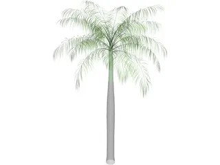 Palm Tree (Royal Palm) 3D Model preview