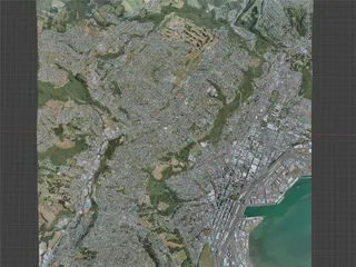 Dunedin City, New Zealand (2021) 3D Model preview