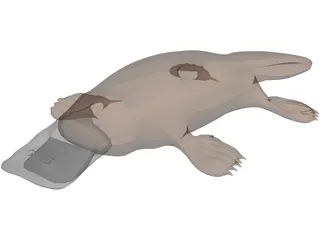Platypus 3D Model preview